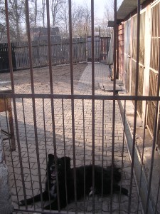 dscn5219.jpg